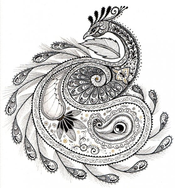 Эскизы павлинов