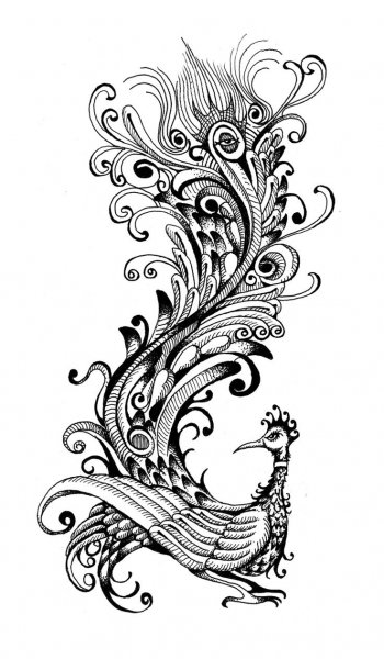 Трафарет павлина