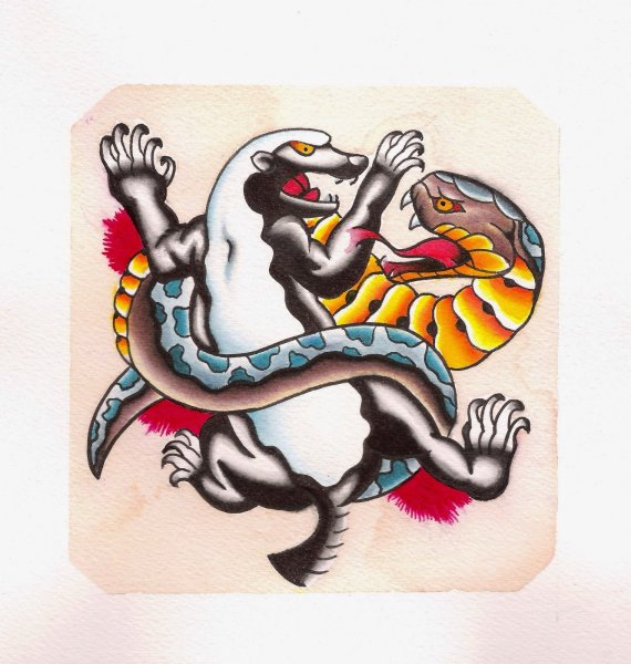 Медоед тату зверя