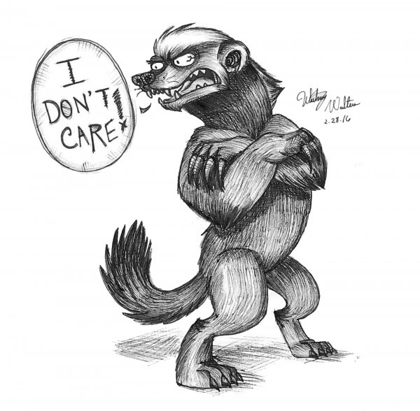 Медоед рисунок крутой