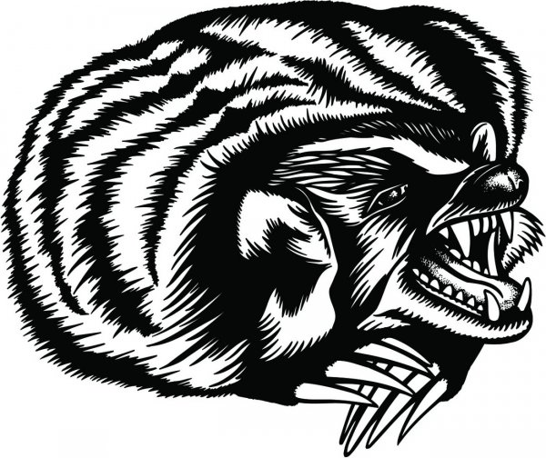 Медоед эскиз