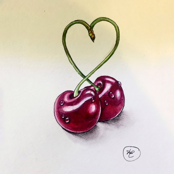 Вишня скетч акварелью