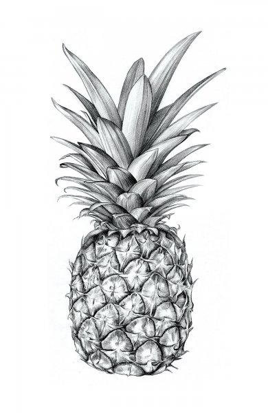 Тату ананас эскиз