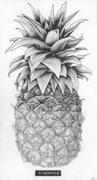 Ананас рисунок тату