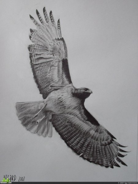 Парящий Сокол тату