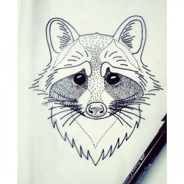 Эскизы татуировок енот