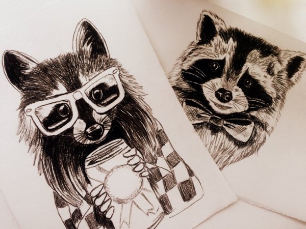 Тату енот эскизы