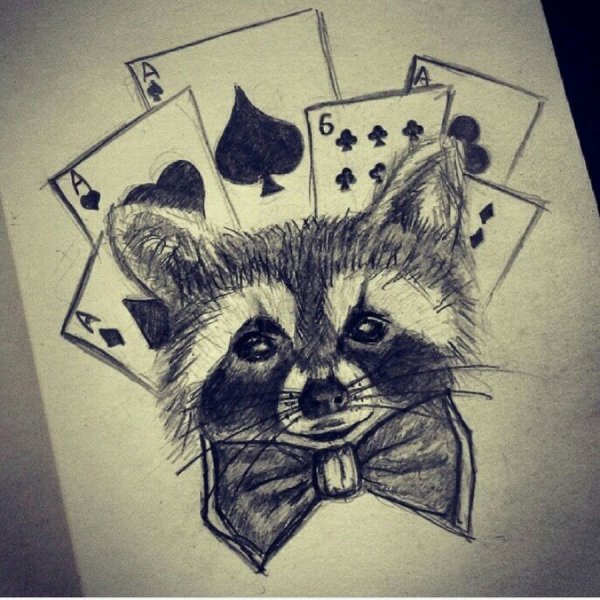 Енот для срисовки