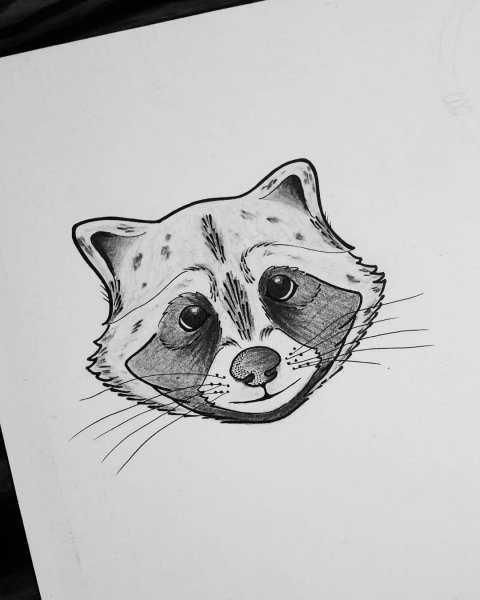 Енот тату эскиз черно белый