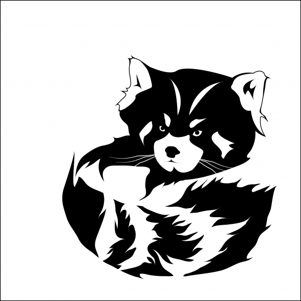 Трайбл енот