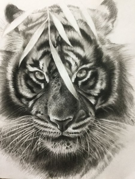 Тату голова тигра