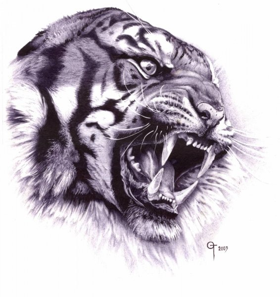 Дигл тату эскиз