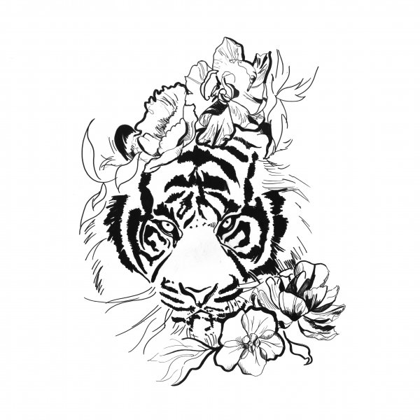 Тигр оскал тату эскиз
