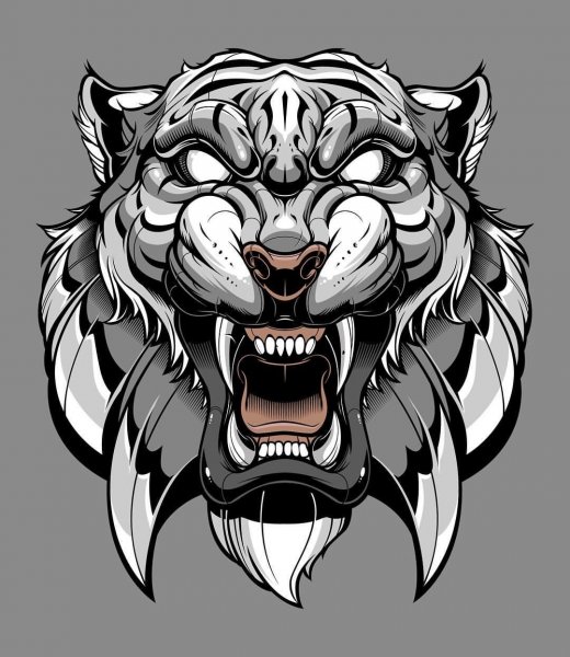 Тигр оскал эскиз реализм