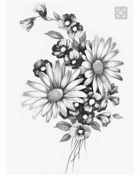 Тату цветы ромашки