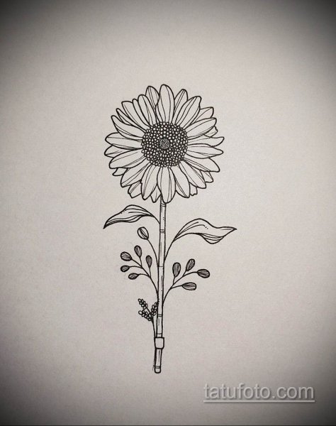 Ромашки черной ручкой