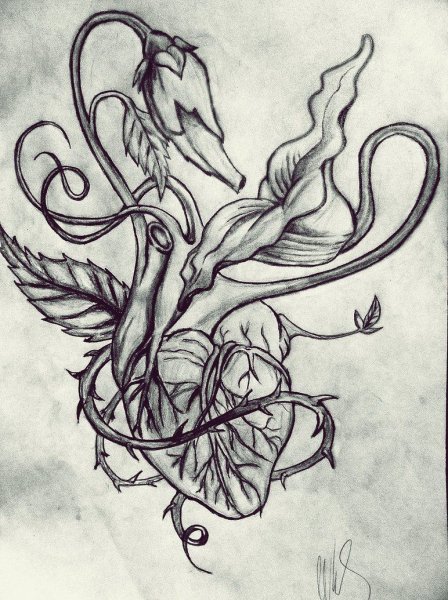 Тату Pink Floyd the Wall