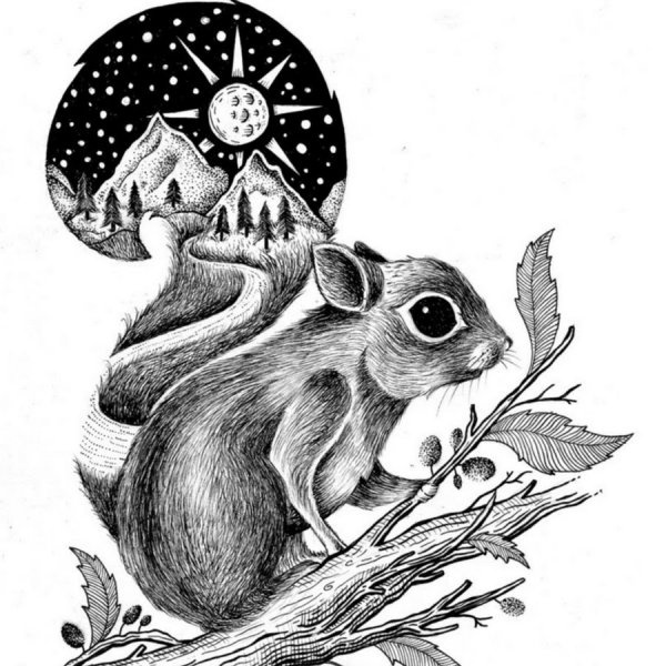 Тату белка черно белая