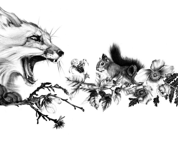 Эскизы тату белок