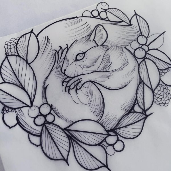 Белочка эскиз тату