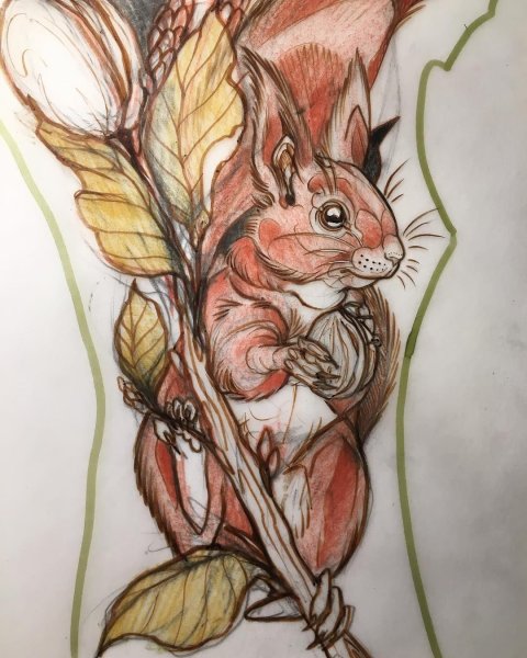 Татуировки белка эскизы