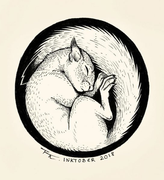 Спящий Бельчонок рисунок