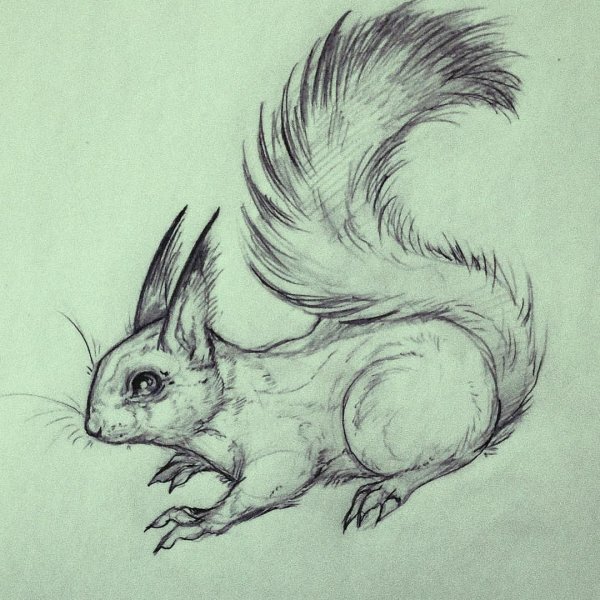 Зарисовки животных карандашом
