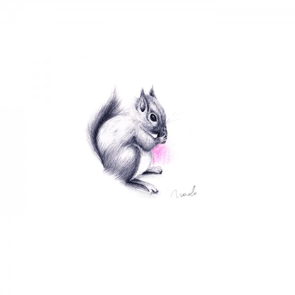 Тату Белочка маленькая