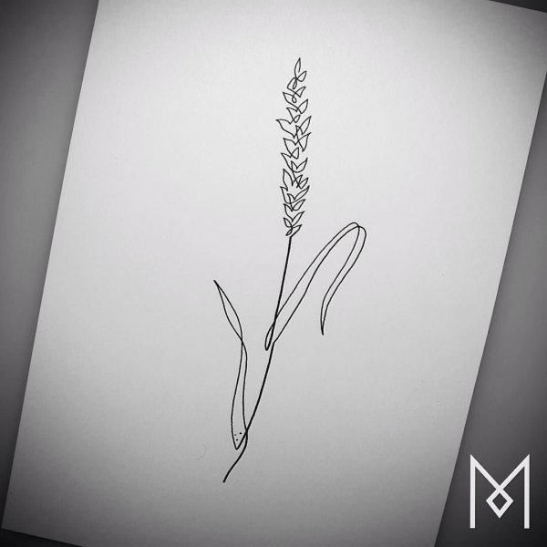 Тату колосок