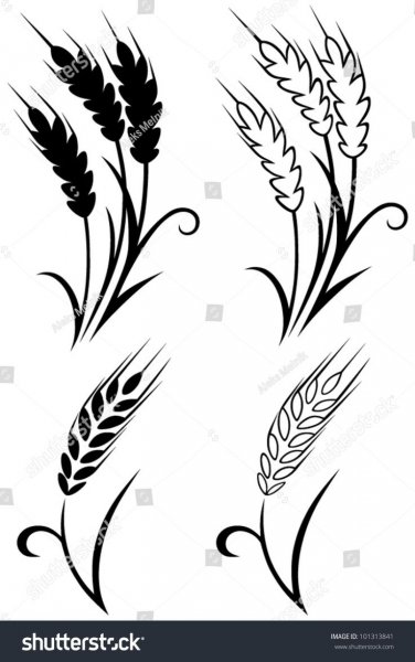 Колос в графике