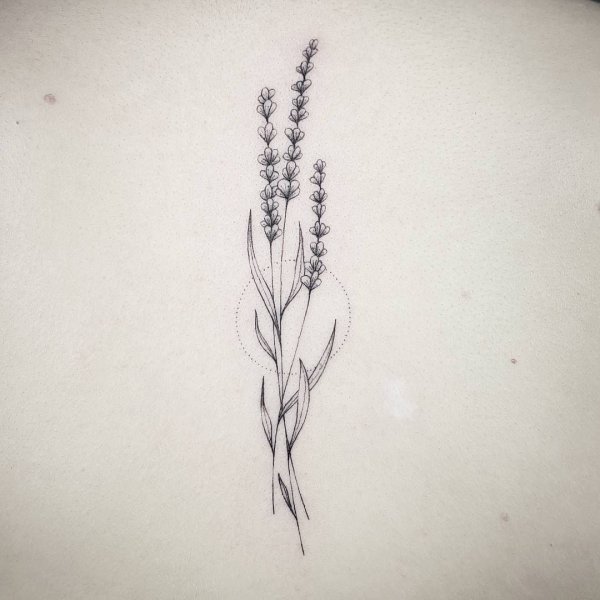 Тату Лаванда