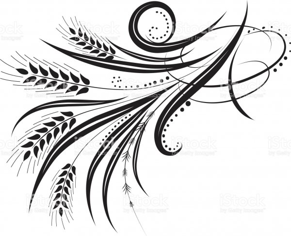 Колос эскиз тату