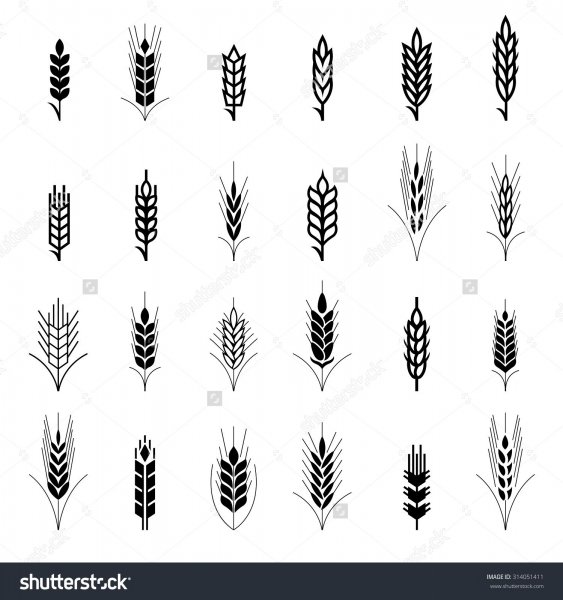 Стилизация пшеничного колоска