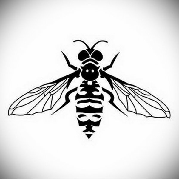 Графическое изображение насекомых