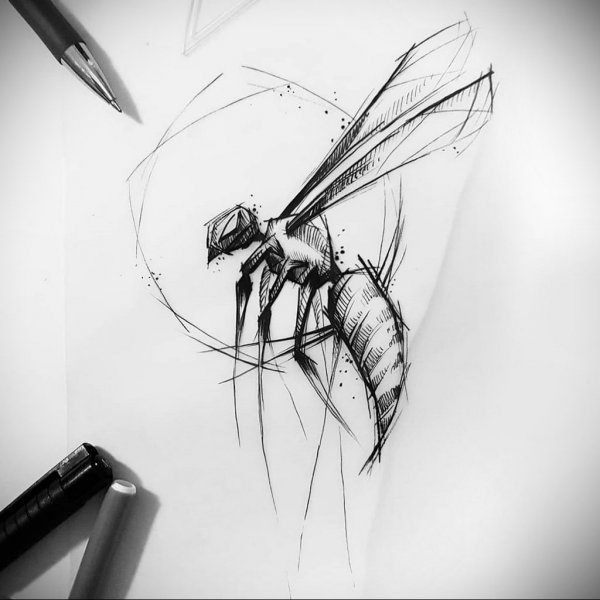 Насекомые ручкой скетч
