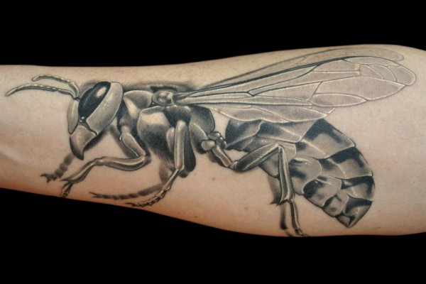 Tatu Wasp