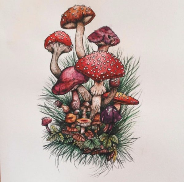 Тату грибы