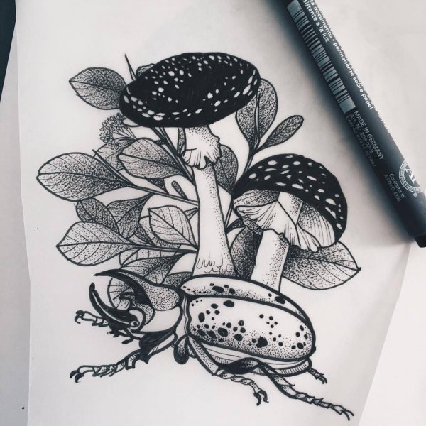 Эскизы грибов тату