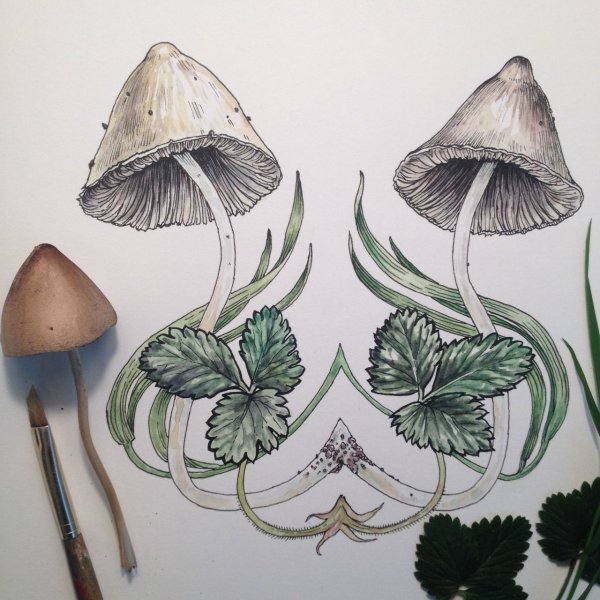 Тату грибы псилоцибы