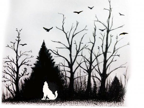 Эскизы леса карандашом