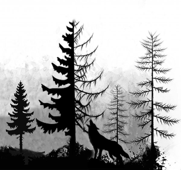 Тату лес чб