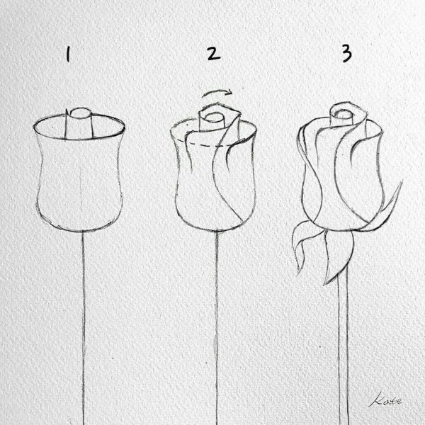 Как научиться рисовать розу