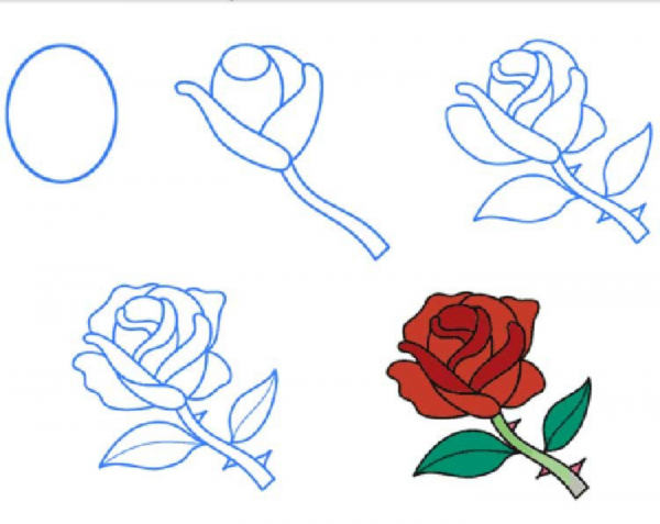 Поэтапное рисование розы