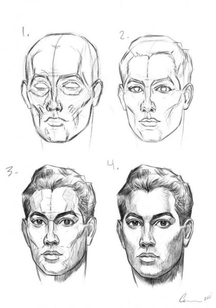Построение головы человека метод Эндрю Лумиса
