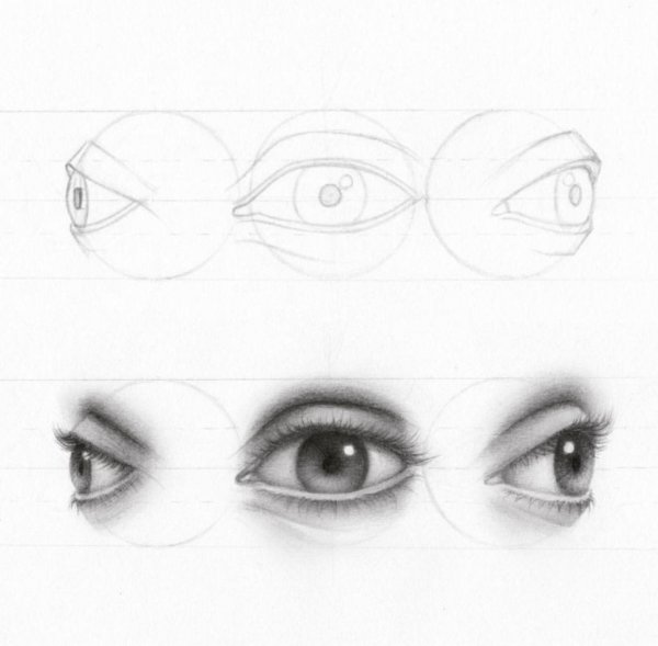 Глаза в разных ракурсах