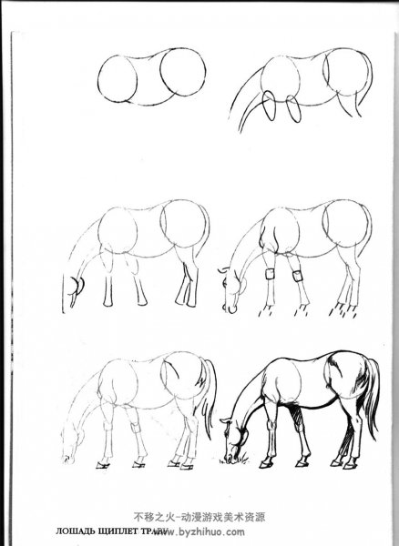 Рисунок лошади пошагово