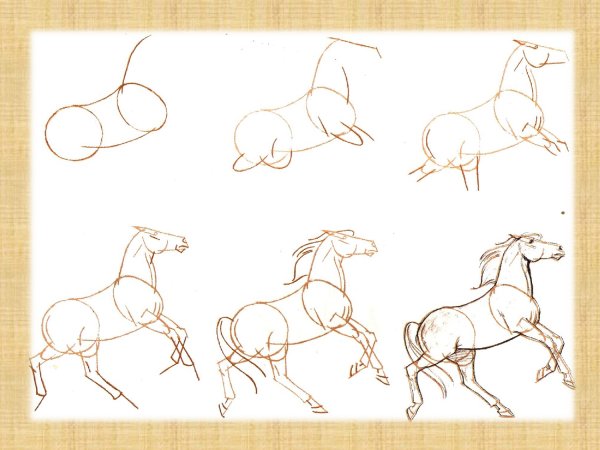 Этапы рисования для детей