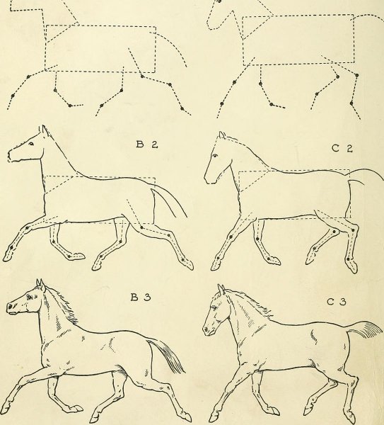 Схема рисования лошади