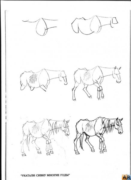 Уроки по рисованию лошадей