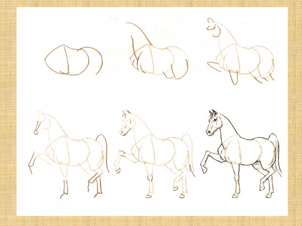 Уроки рисования лошади